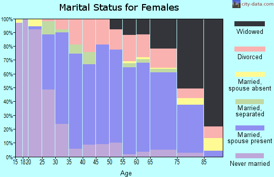 Zip code 28139 marital status for females