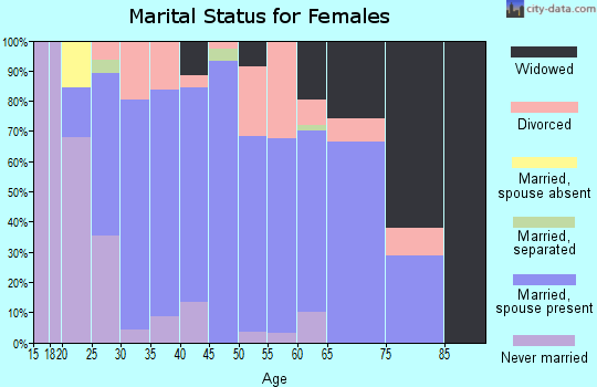Zip code 28163 marital status for females