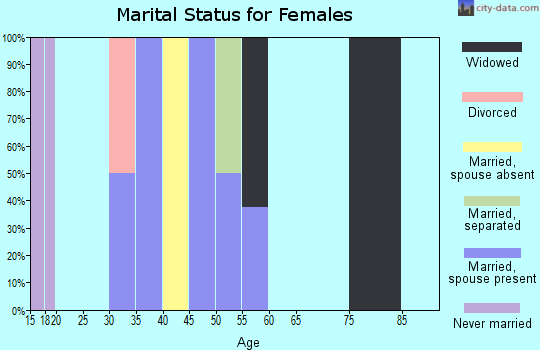Zip code 28169 marital status for females