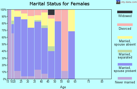 Zip code 28307 marital status for females