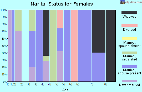 Zip code 28332 marital status for females
