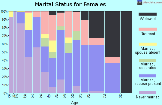 Zip code 28333 marital status for females