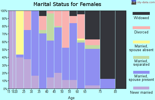 Zip code 28373 marital status for females