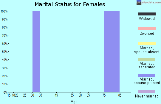 Zip code 28378 marital status for females