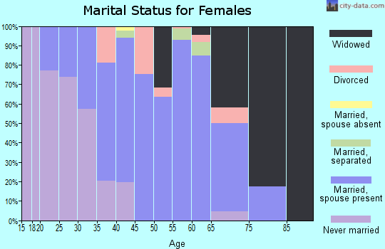 Zip code 28385 marital status for females