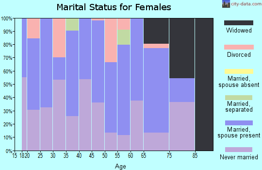 Zip code 28393 marital status for females