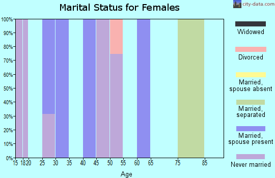 Zip code 28452 marital status for females