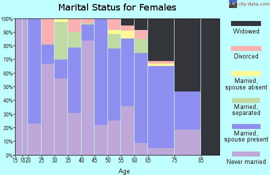 Zip code 28453 marital status for females