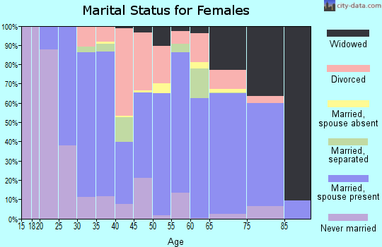 Zip code 28462 marital status for females