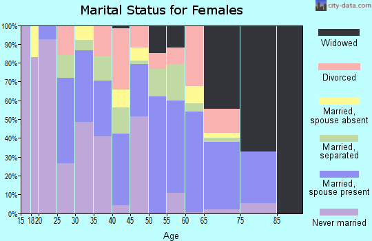 Zip code 28463 marital status for females