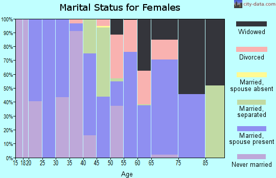 Zip code 28526 marital status for females