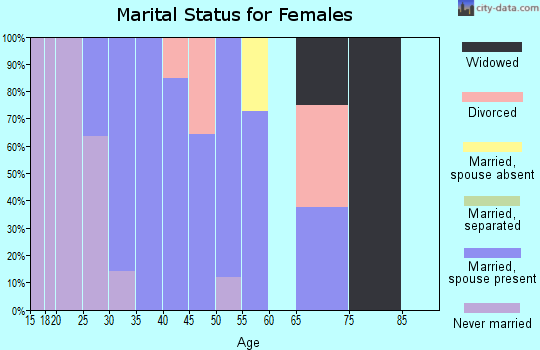 Zip code 28527 marital status for females