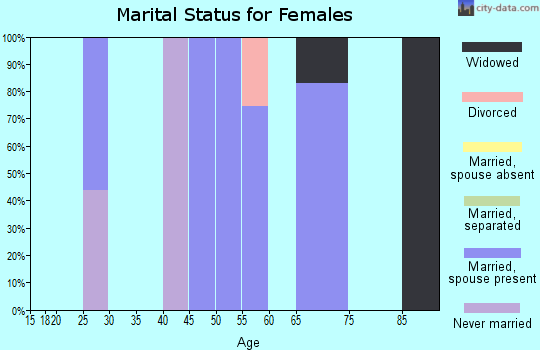 Zip code 28528 marital status for females