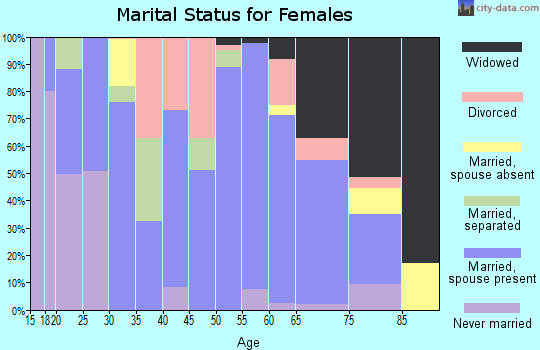 Zip code 28529 marital status for females