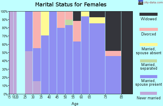 Zip code 28531 marital status for females