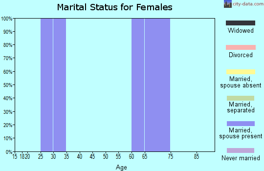 Zip code 28537 marital status for females