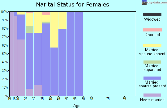Zip code 28547 marital status for females