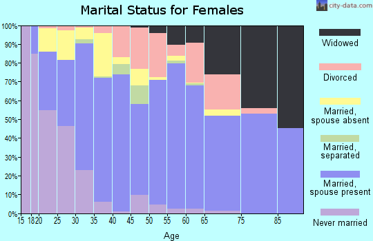 Zip code 28584 marital status for females