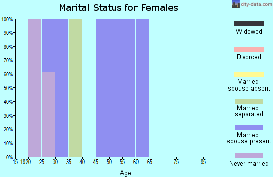 Zip code 28589 marital status for females
