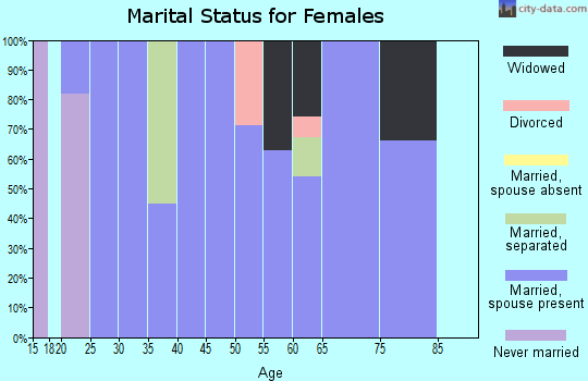 Zip code 28606 marital status for females