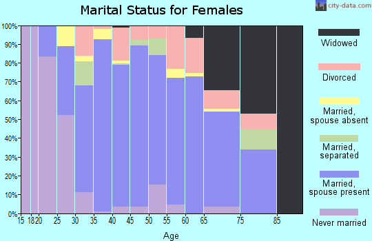 Zip code 28610 marital status for females