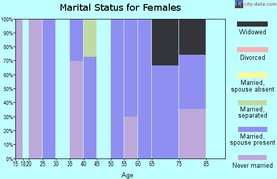 Zip code 28631 marital status for females
