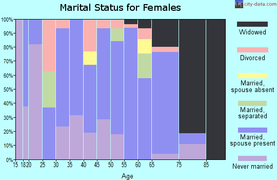 Zip code 28651 marital status for females