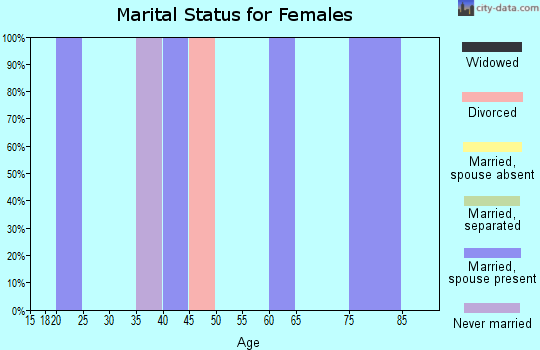 Zip code 28666 marital status for females