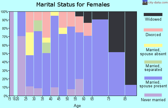 Zip code 28678 marital status for females