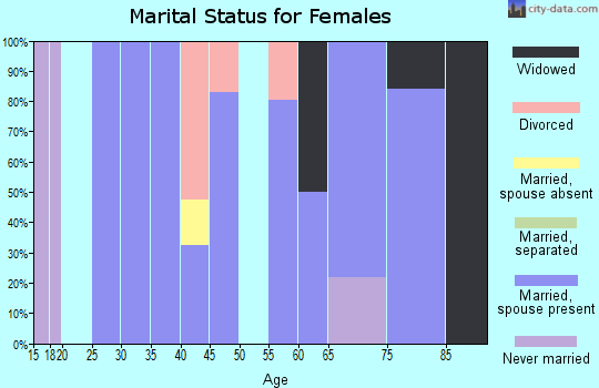 Zip code 28689 marital status for females