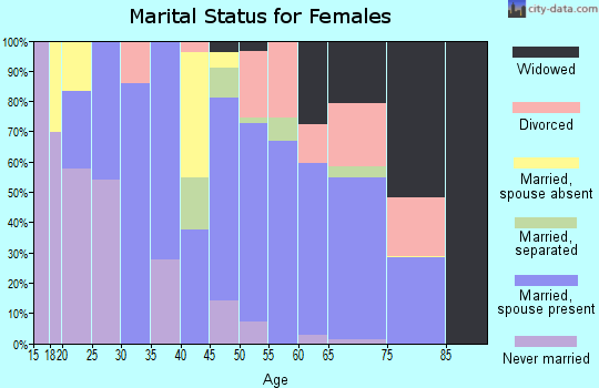 Zip code 28690 marital status for females