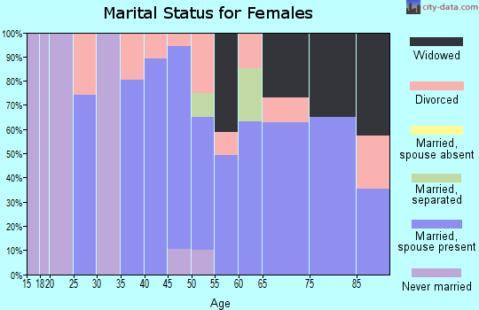 Zip code 28701 marital status for females