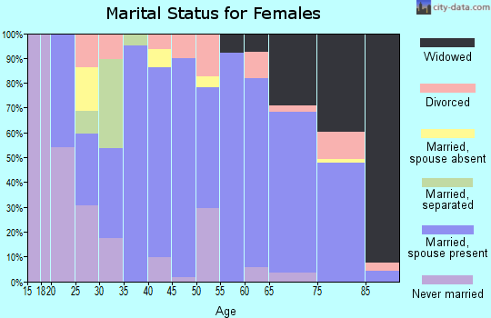 Zip code 28705 marital status for females