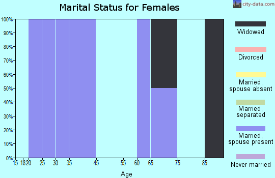 Zip code 28710 marital status for females