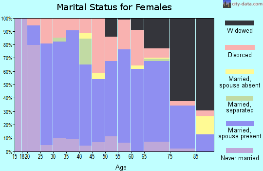 Zip code 28713 marital status for females