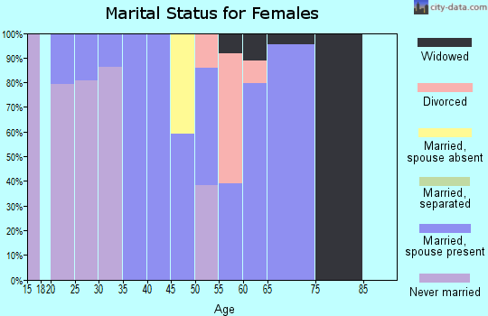 Zip code 28717 marital status for females