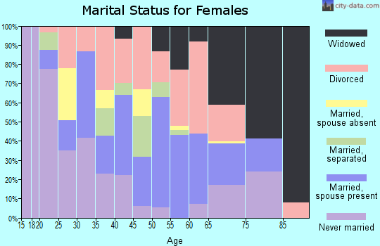 Zip code 28719 marital status for females