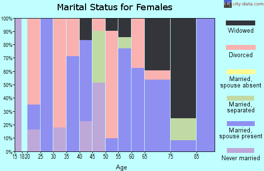 Zip code 28726 marital status for females