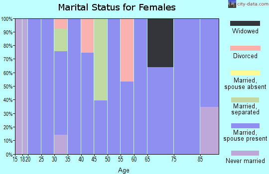 Zip code 28729 marital status for females