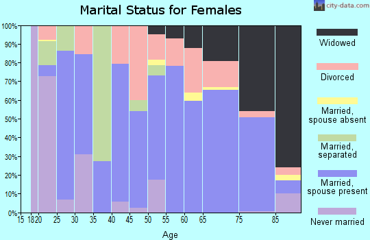Zip code 28731 marital status for females