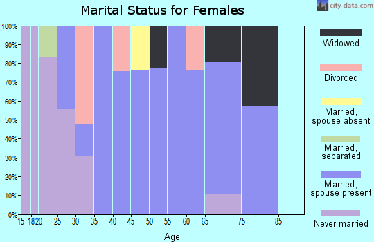 Zip code 28740 marital status for females