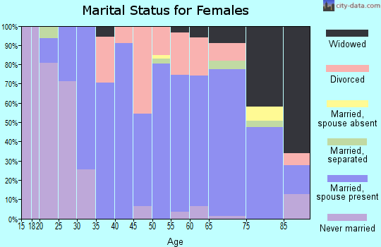 Zip code 28741 marital status for females