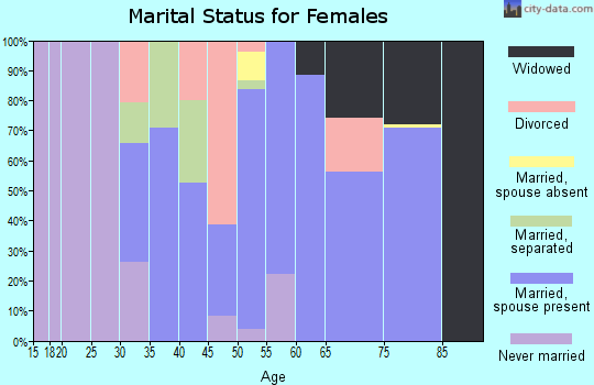 Zip code 28742 marital status for females