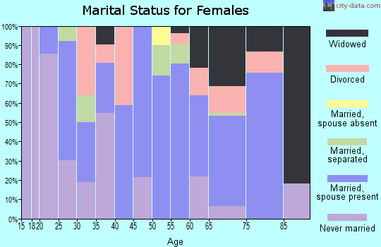 Zip code 28743 marital status for females