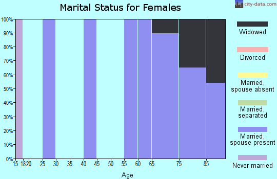 Zip code 28745 marital status for females