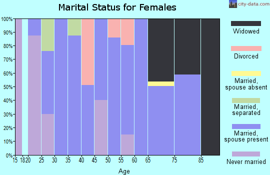 Zip code 28747 marital status for females