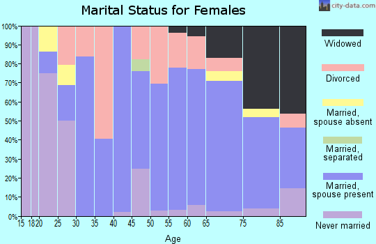 Zip code 28751 marital status for females