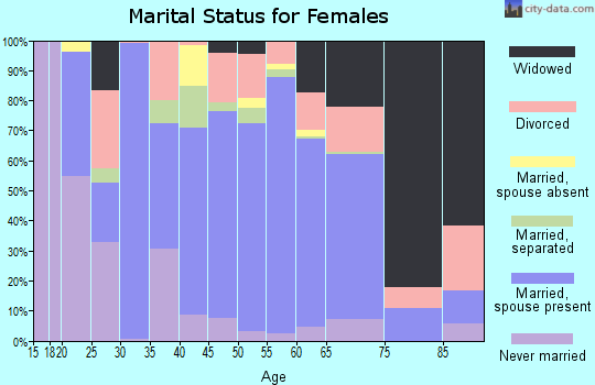 Zip code 28753 marital status for females
