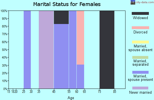 Zip code 28755 marital status for females