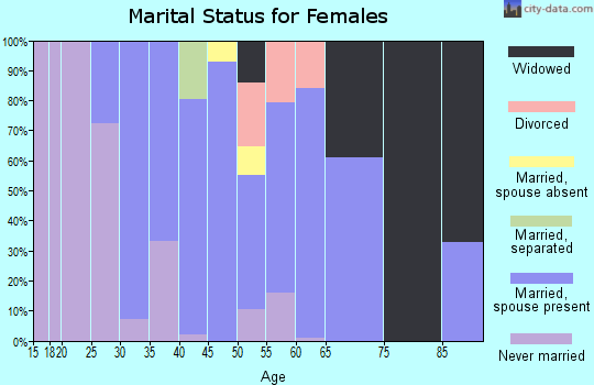 Zip code 28756 marital status for females